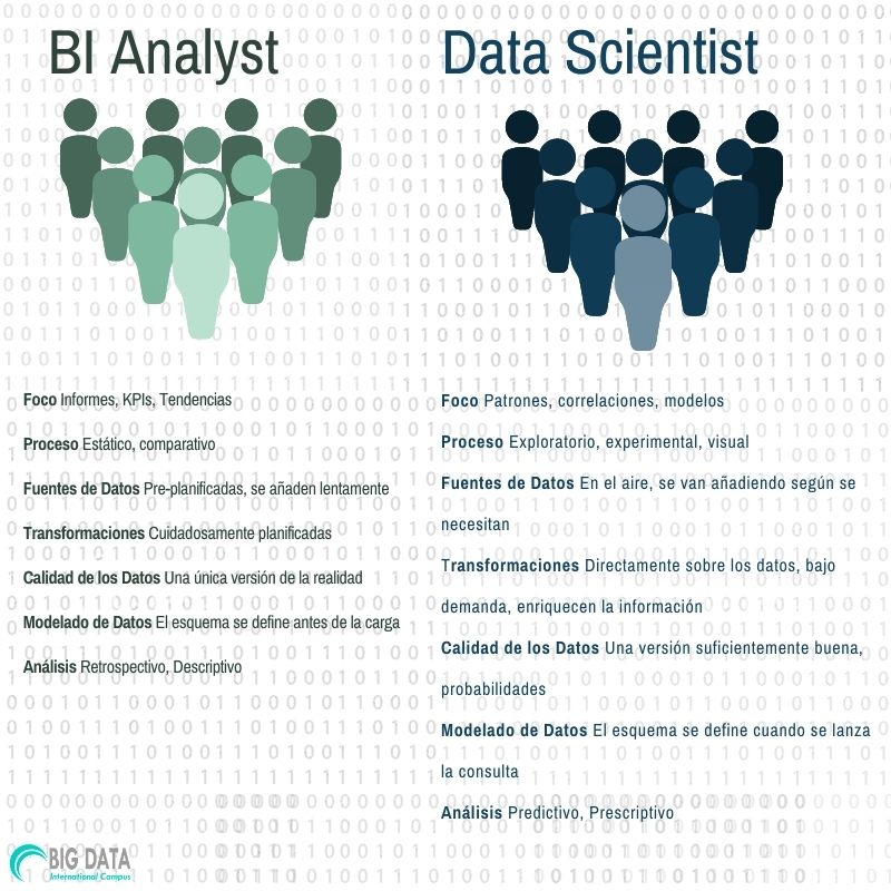 Data Scientist & BI Analyst