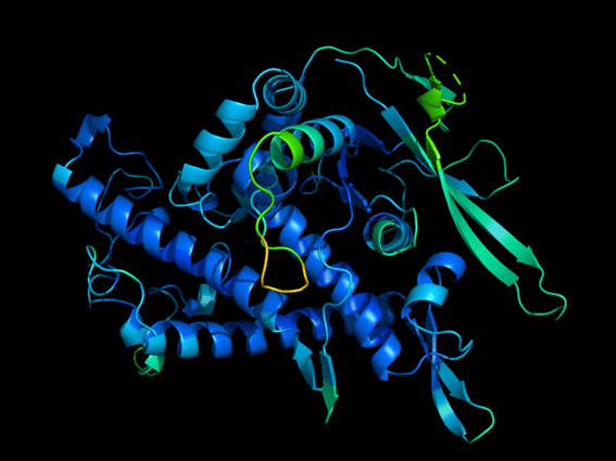 Perfil 3D de una proteína